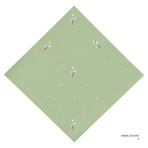 NISHAA- 9 (LINT)