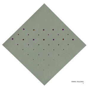 VOLCANO- 7 (LAUREL OAK)