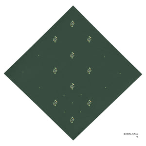 KAIA- 9 (MOUNTAIN VIEW)