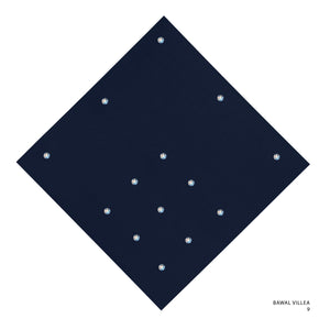 VILLEA- 9 (SKY CAPTAIN)