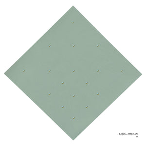 AMEISEN - 9 (FROSTY GREEN)