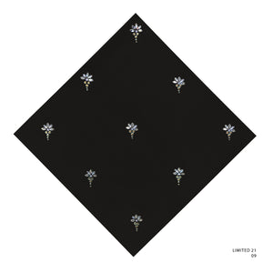 LIMITED 21 - 9 (BLACK BEAUTY)