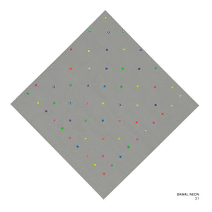 NEON- 21 (STEEPLE GRAY)