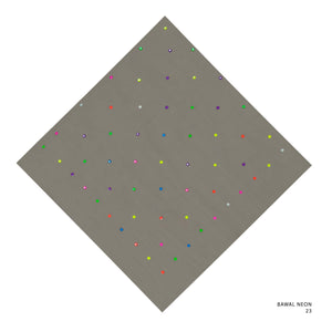 NEON- 23 (SILENT STORM)