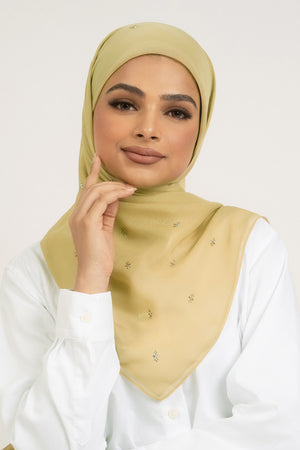 BAHEERA-6 (YELLOW GINGER)