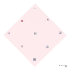ARIES-6 (PALE DOGWOOD)