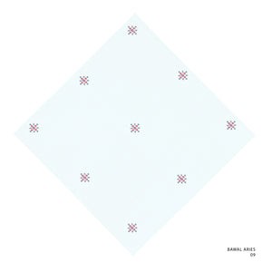 ARIES-9 (BLUE WHITE)
