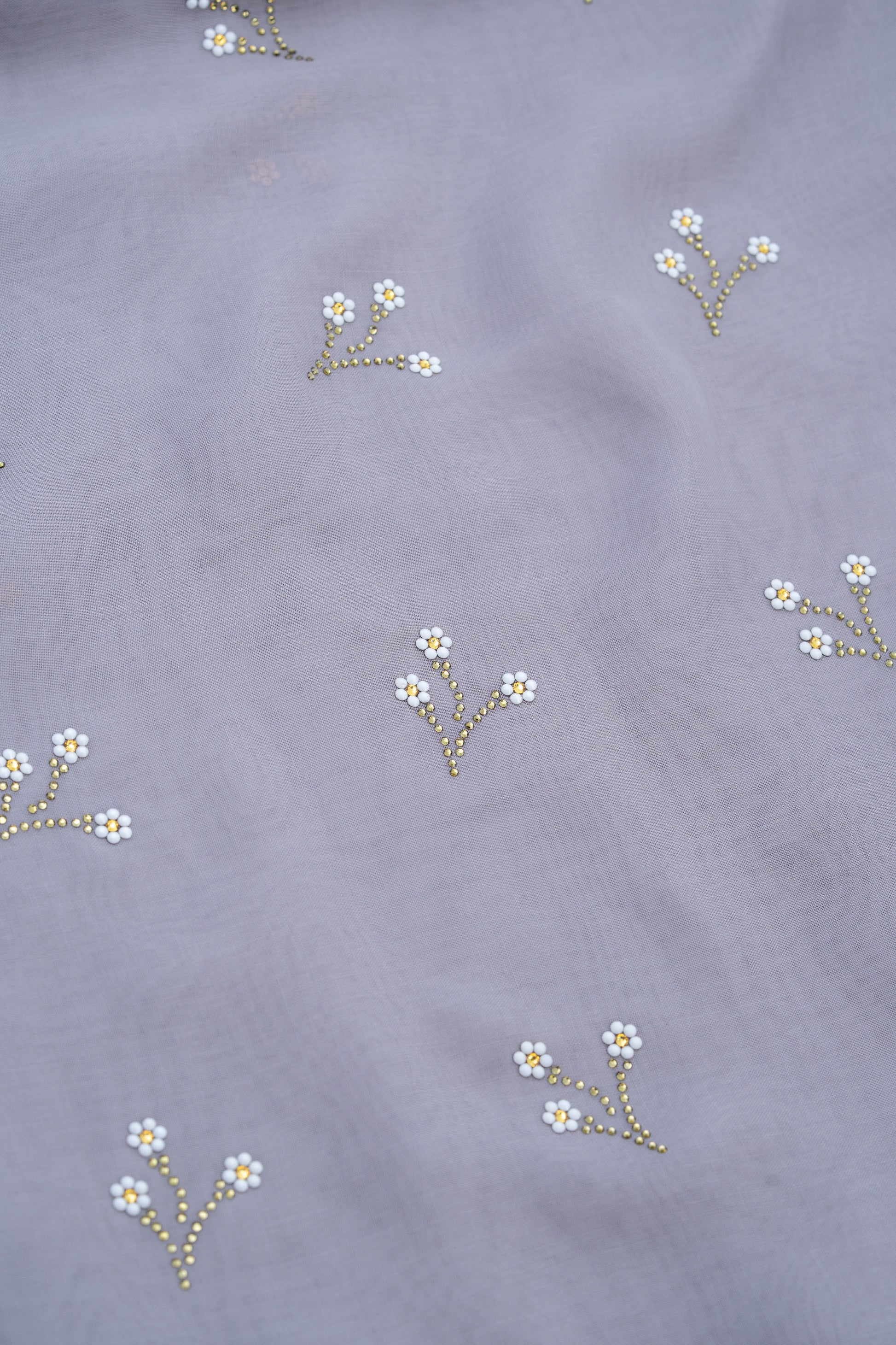 BAWAL DAISY