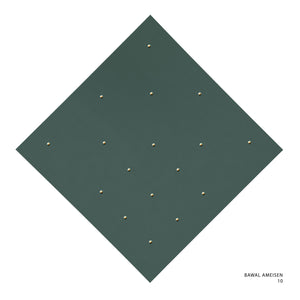 AMEISEN - 10 (DARK GREEN- GREEN)