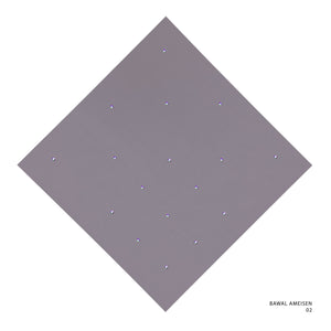AMESIEN - 2 (PURPLE DOVE)
