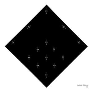 CALLA- 12 (BLACK BEAUTY)