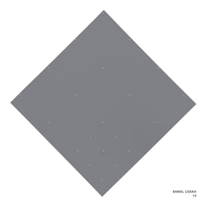 USRAH- 19 (EXCALIBUR)