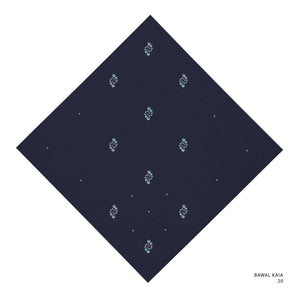 KAIA- 20 (SKY CAPTAIN)