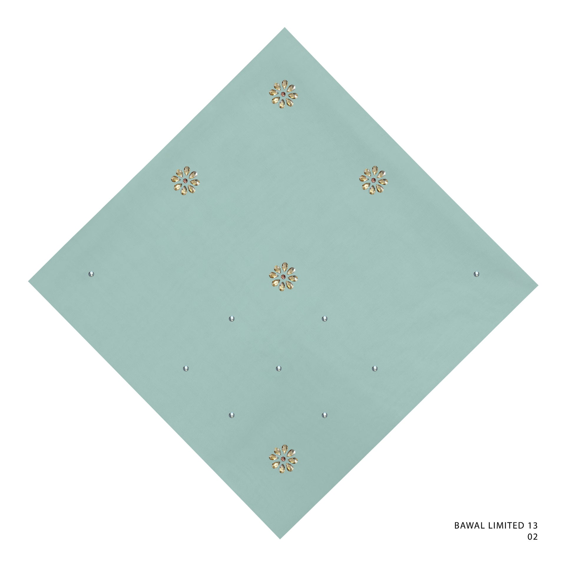 BAWAL LIMITED 13