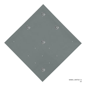 LIMITED 13 -3 (SILVER BLUE)