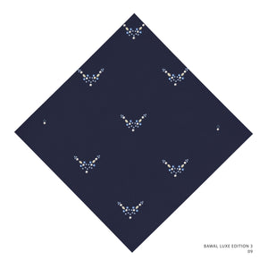 BAWAL LUXE III- 9 (SKY CAPTAIN)