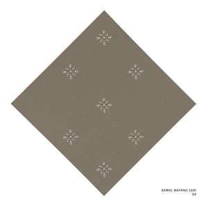 MS-9 (BROWN LENTIL)