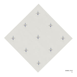 PUYI- 11 (SILVER LINING)
