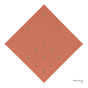 QALBU -37 (TIGERLILY)