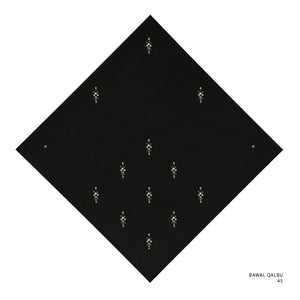 QALBU -45 (BLACK BEAUTY)