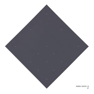 QASEH 10- 7 (QUICKSILVER)