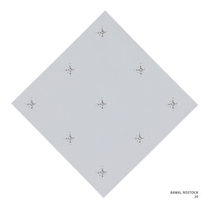 ROSTOCK- 20 (MICROCHIP)