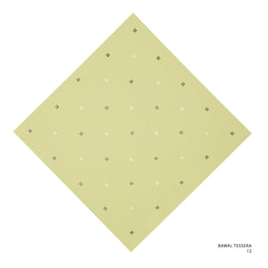 TESSERA- 12 (DRIED MOSS)