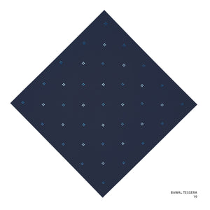 TESSERA- 19 (SKY CAPTAIN)