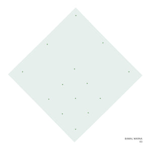 WARNA 1.0 - 3 (GREEN TINT)