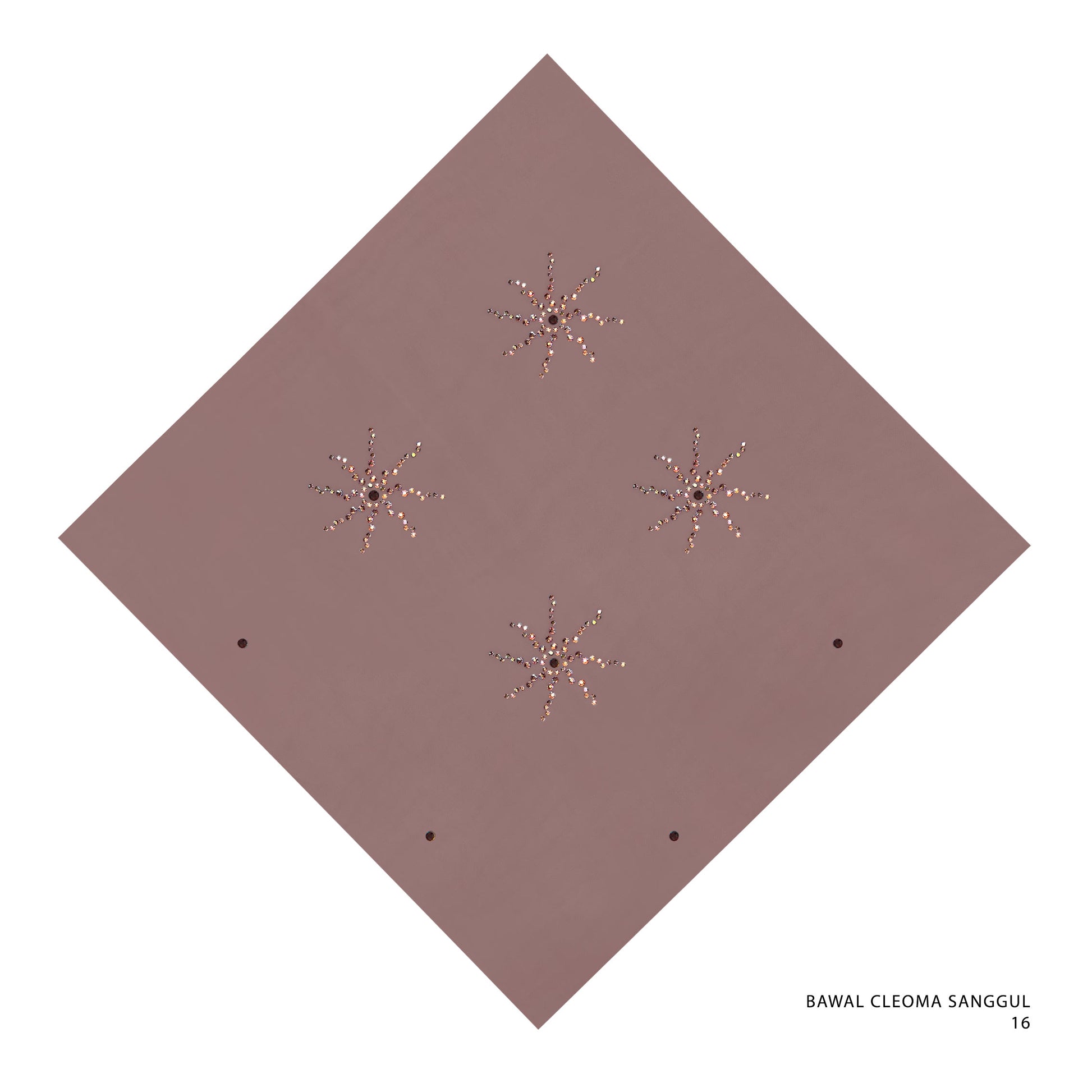 BAWAL CLEOMA SANGGUL