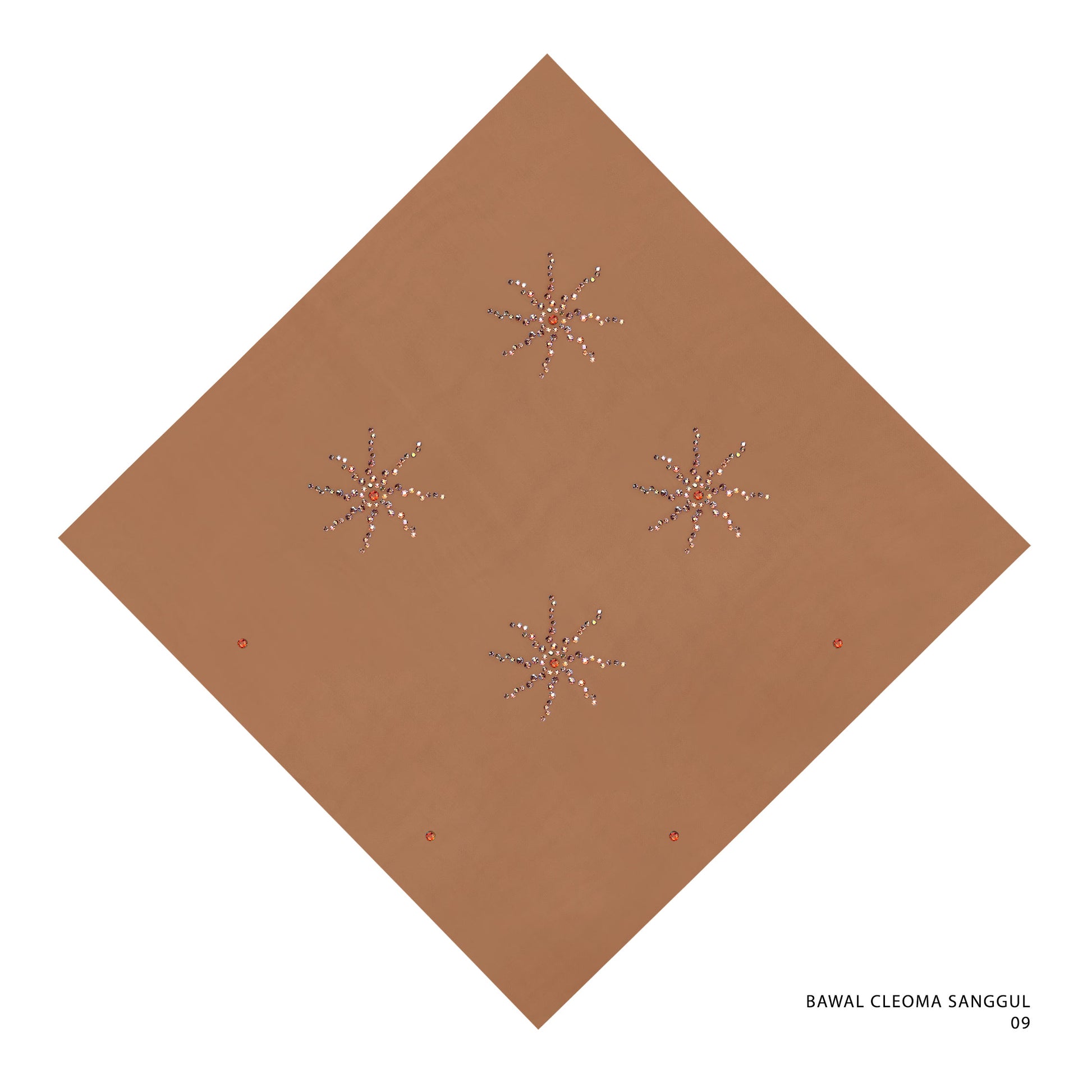 BAWAL CLEOMA SANGGUL