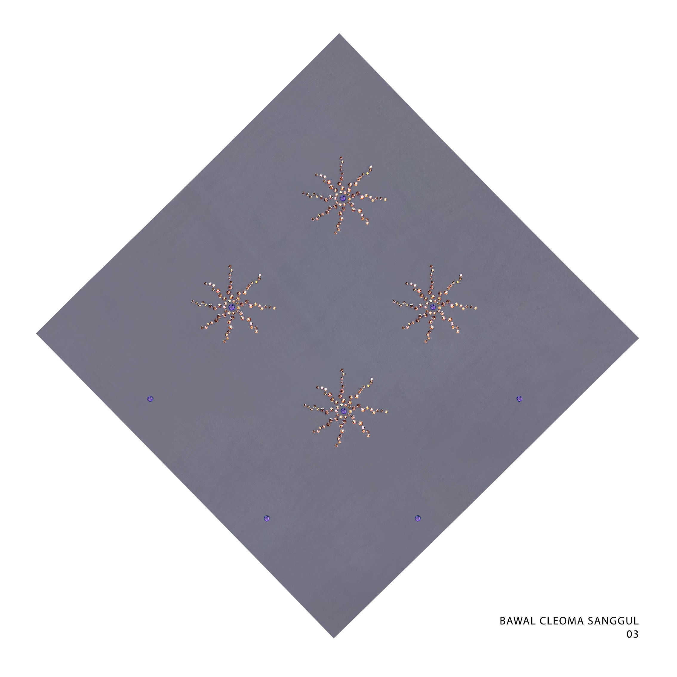 BAWAL CLEOMA SANGGUL