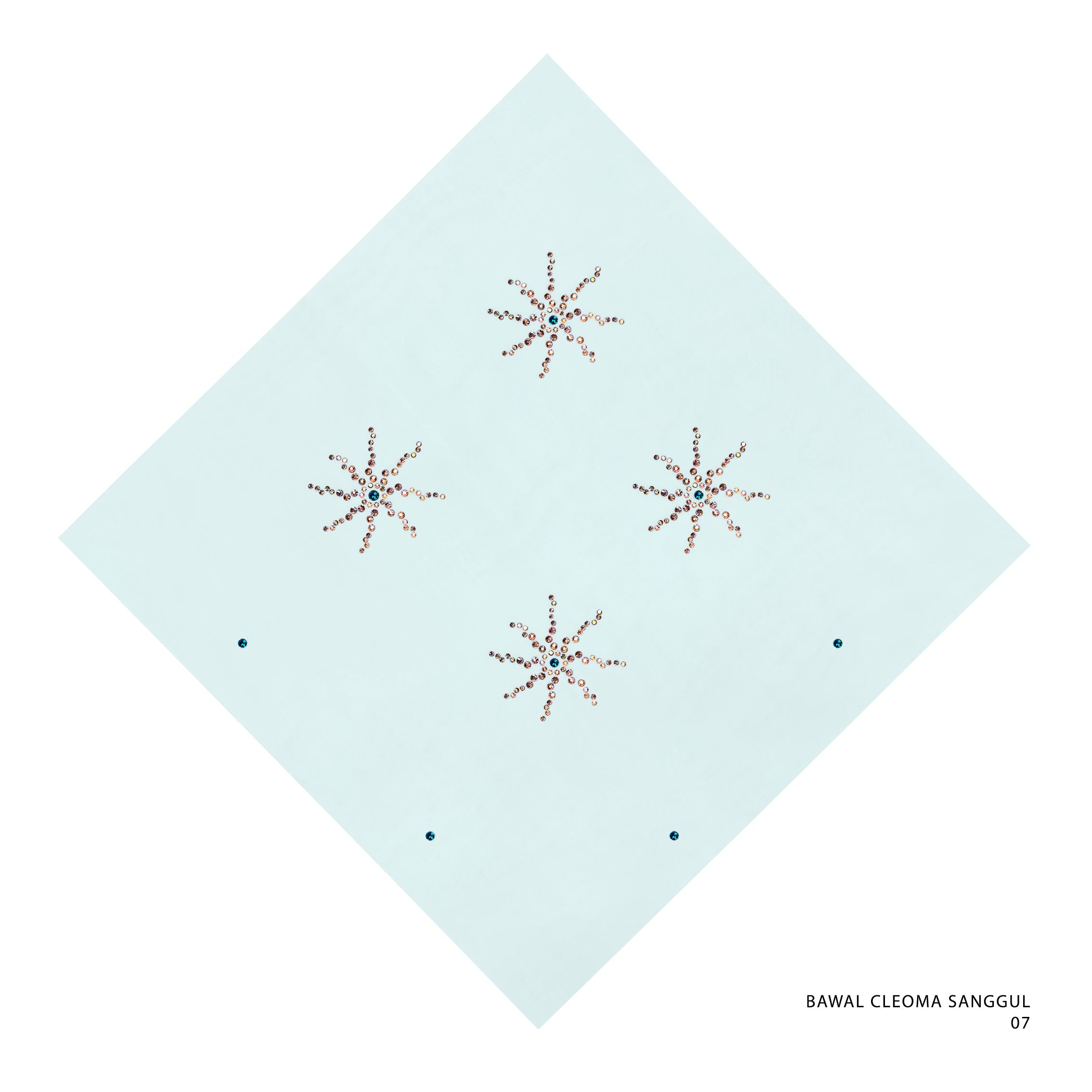 BAWAL CLEOMA SANGGUL