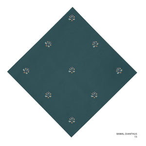 DIANTHUS-15 (DARK TEAL)
