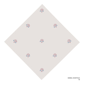 DIANTHUS-18 (WHITE SAND)