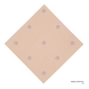 DIANTHUS-19 (TOASTED ALMOND)