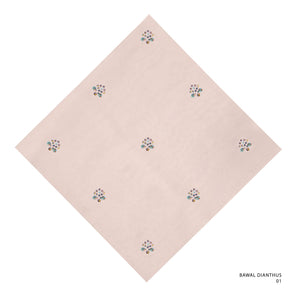 DIANTHUS-1 (SOFT PINK)