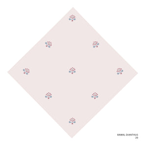 DIANTHUS-20 (SILVER PINK)