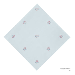 DIANTHUS-22 (SILVER GREY)