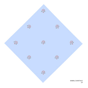 DIANTHUS-24 (HYDRANGEA BLUE)