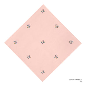 DIANTHUS-2 (PINK SALT)