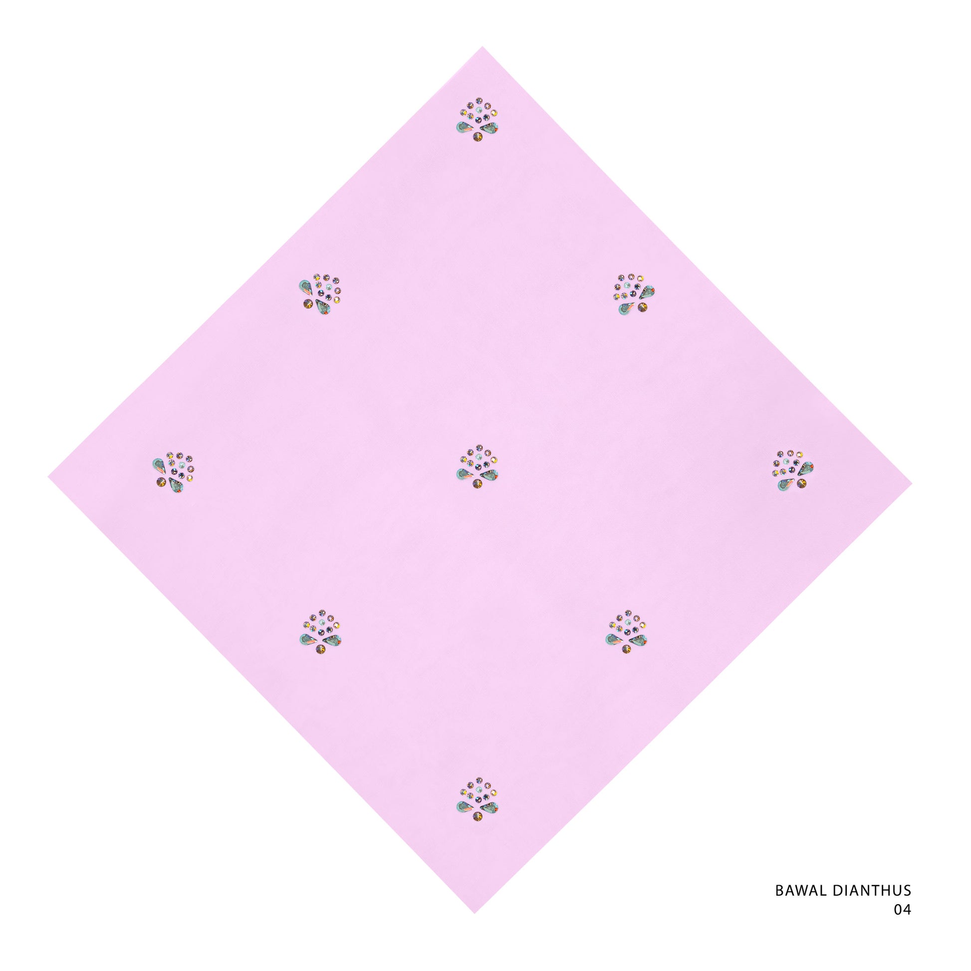 BAWAL DIANTHUS