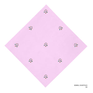 DIANTHUS-4 (PASTEL LAVENDER)