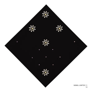 LIMITED11- 12 (BLACK BEAUTY)