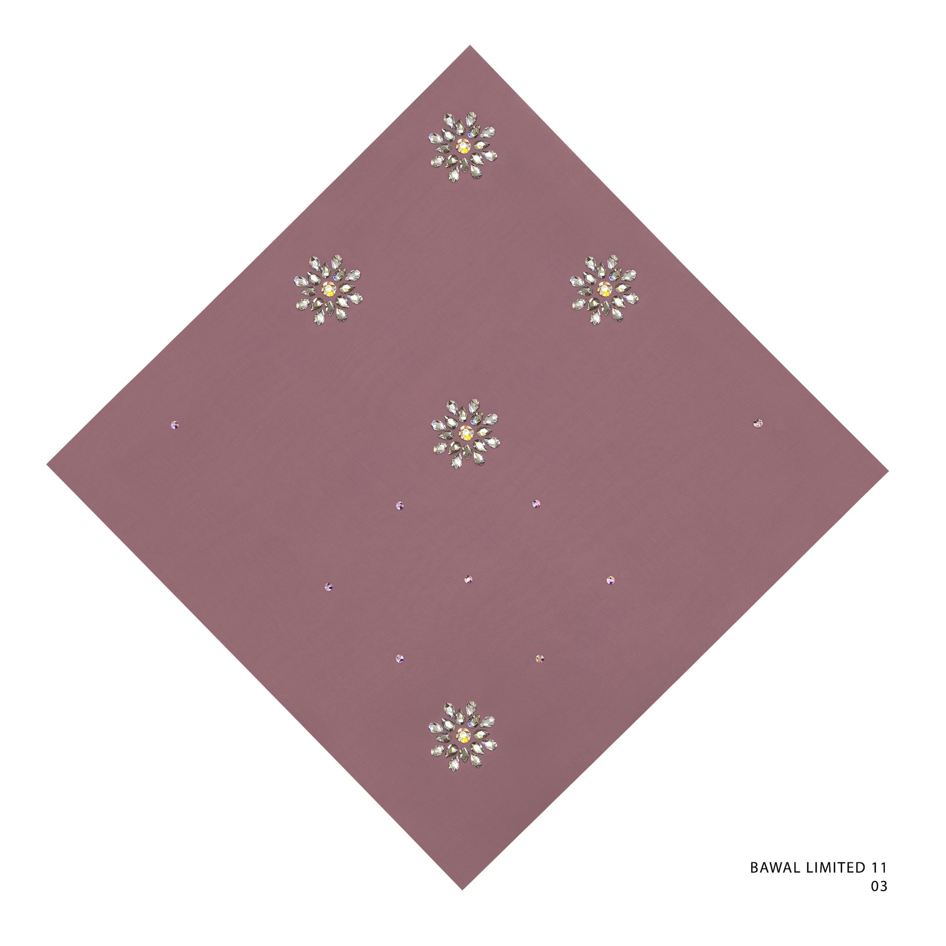 BAWAL LIMITED 11