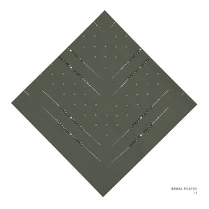 PILATUS- 13 (SEAWEED GREEN)