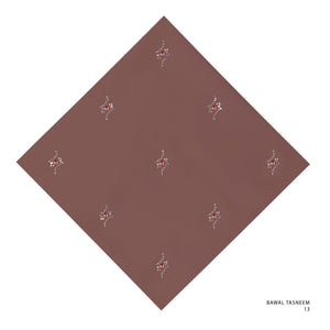 TASNEEM- 13 (SMOKE PAPRIKA)