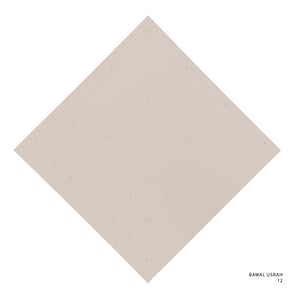 USRAH- 12 (FAWN)