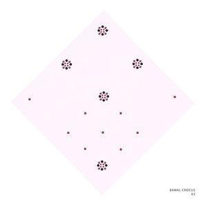 CROCUS NB - 3 (CALCITE)