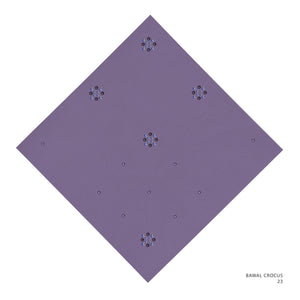 CROCUS NB - 23 (CHINESE VIOLET)